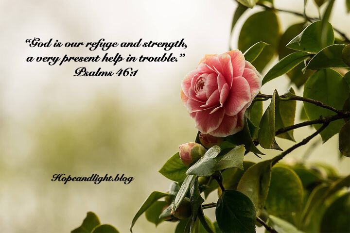 The Sacrifice That Pleases&nbsp;God