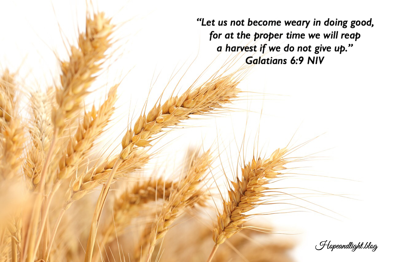 026ED4D1-D501-437B-829F-024F9A2BD3A2