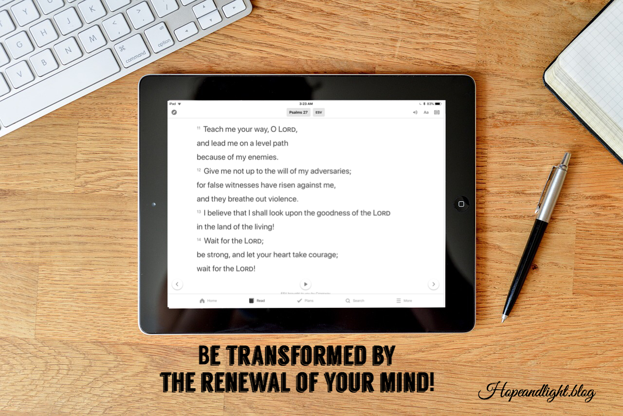 95C70BBB-E55C-49AC-9CCD-7A231E87D4A4