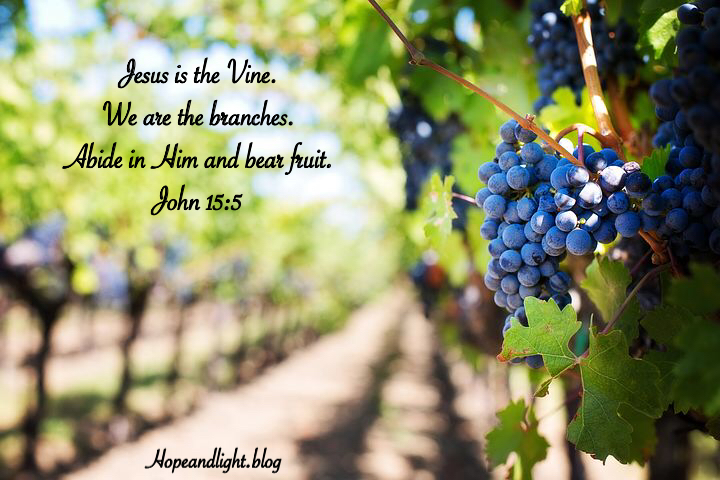 9B5CFC6E-A1AF-4AC9-9A18-888C322E2154