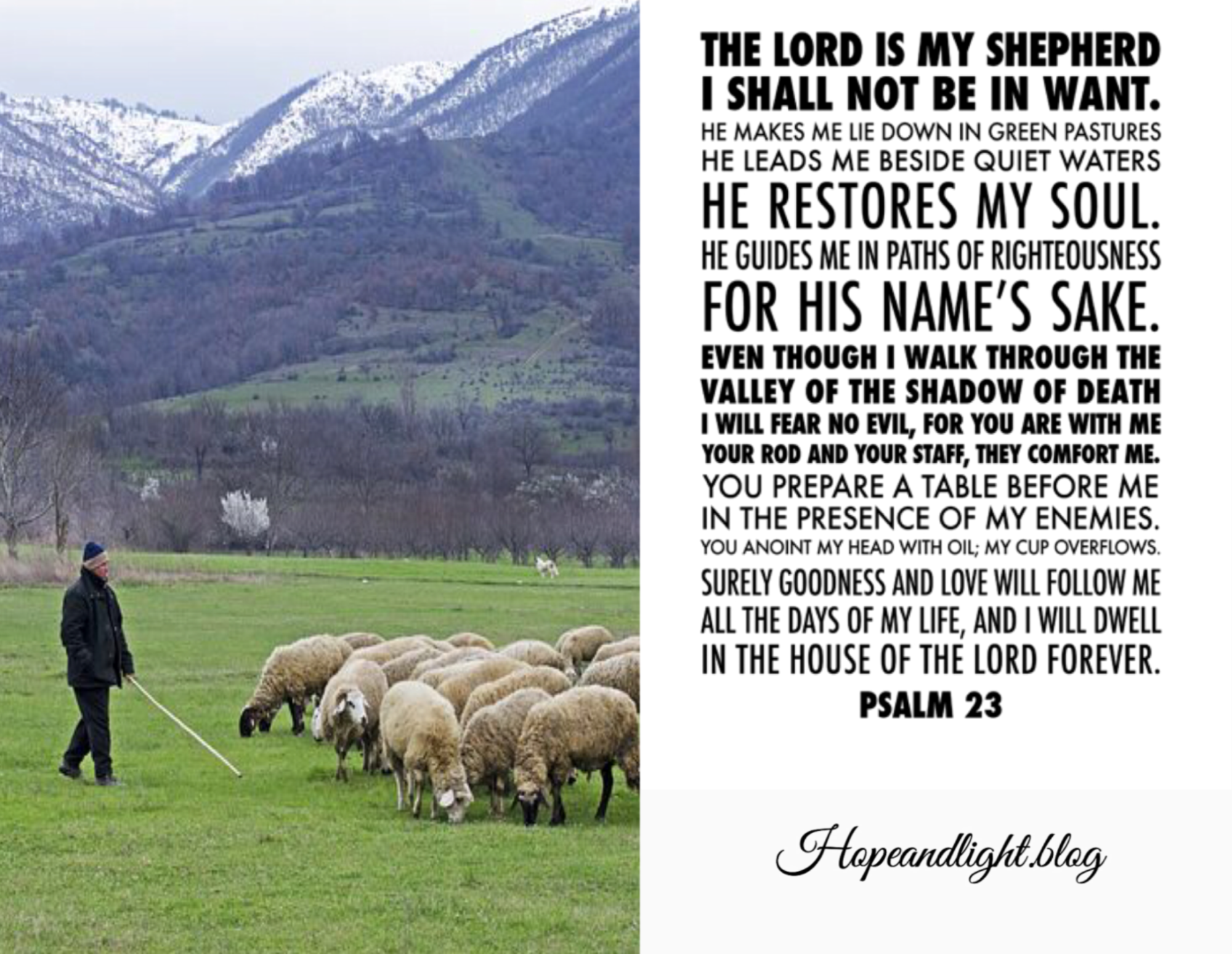 The Lord Is My Shepherd – HOPE \u0026 LIGHT, image size:2000x1548