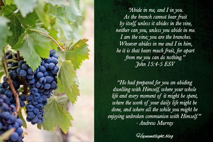 45D10842-FBC9-41AB-B6D8-242A2928CA64