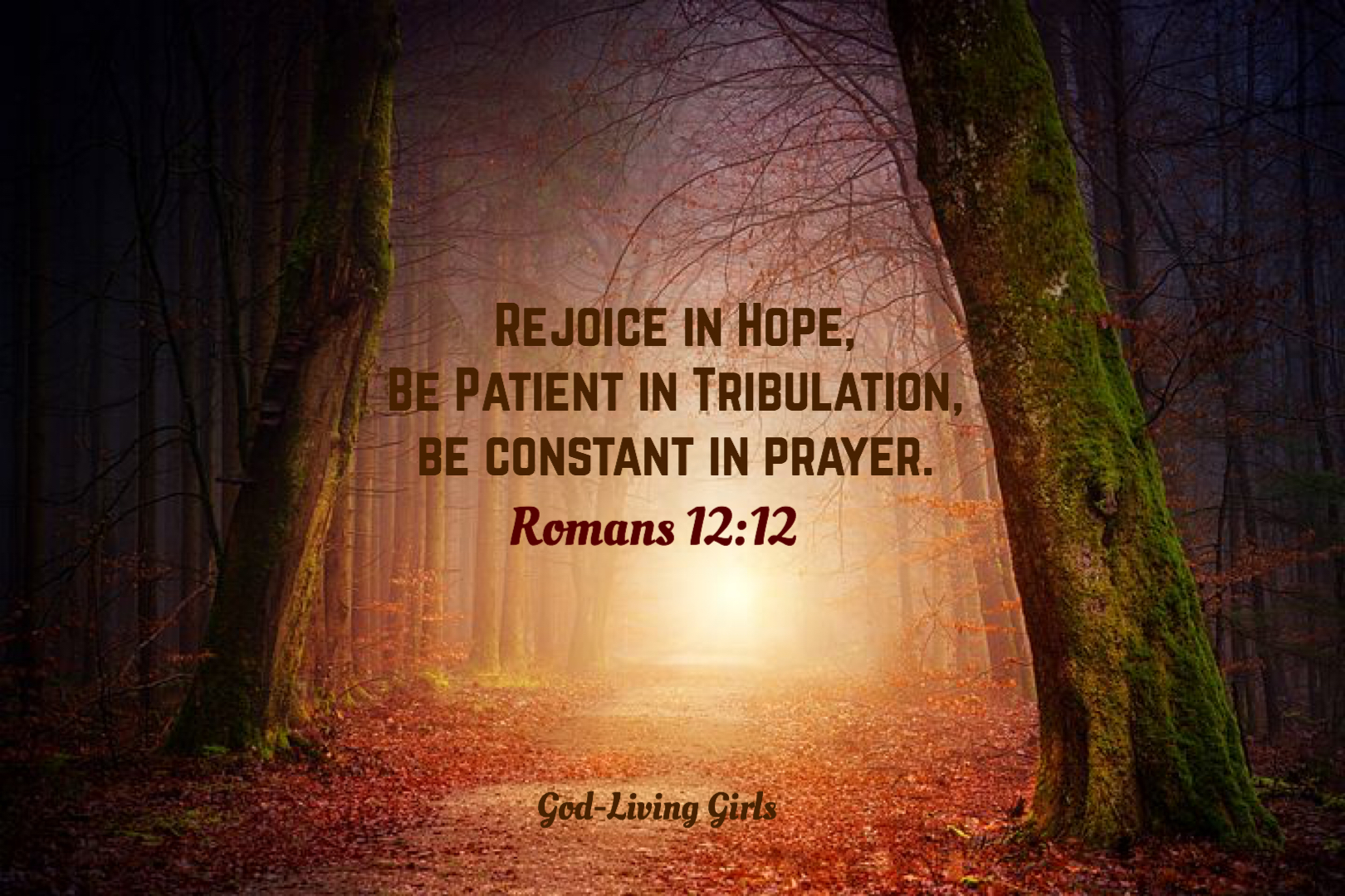 88A6CE19-65EB-4527-997A-4FCCE127D306