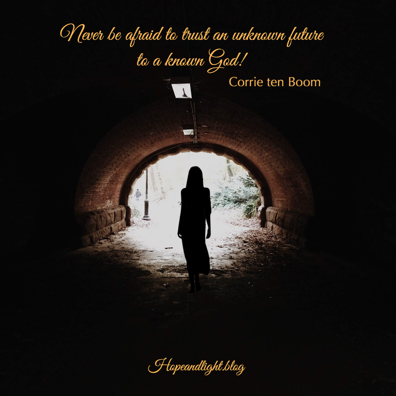 F7465035-2DE9-4147-BE1E-F2BAB8A4DB78