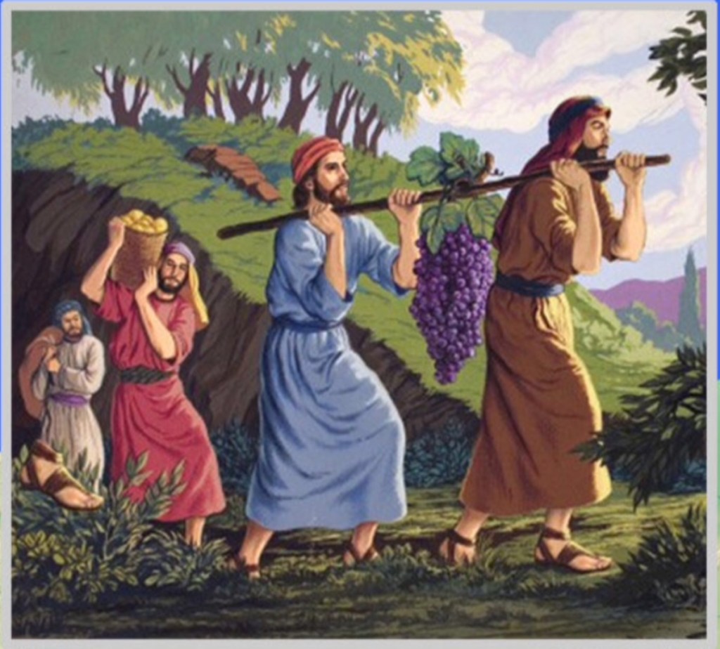 BCDAD335-C973-4969-BBE0-CD76F67112F4